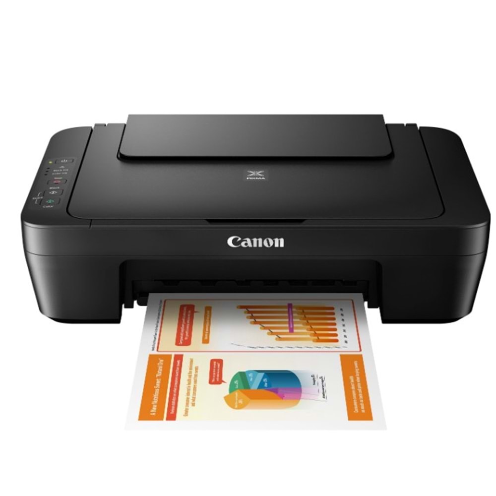 Canon PIXMA MG2551S