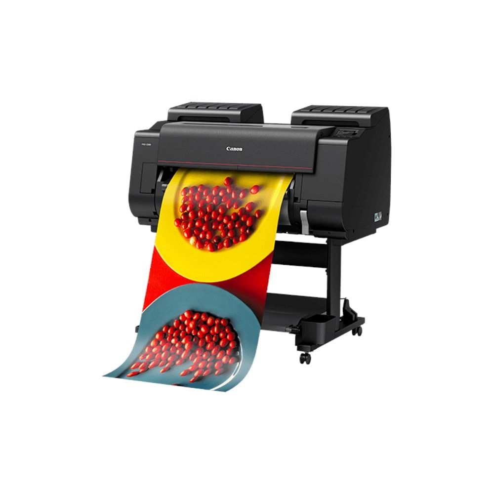 Canon imagePROGRAF PRO-2100S 24